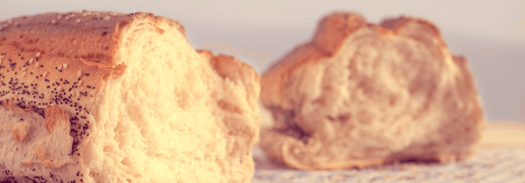 Two pieces of bread