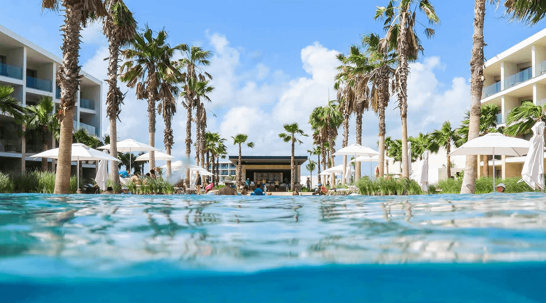 Palladium Hotel pool with palm trees