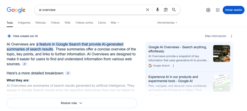 Ai Overview