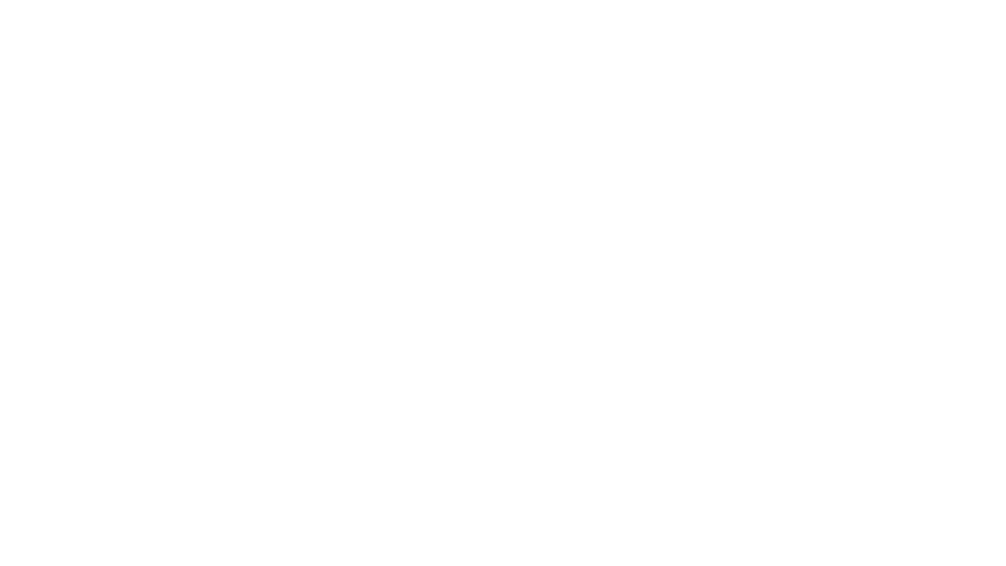 stradivarius_logo-white