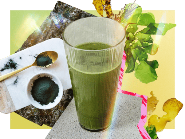 trendlist_vitamin_seaweed_thumb