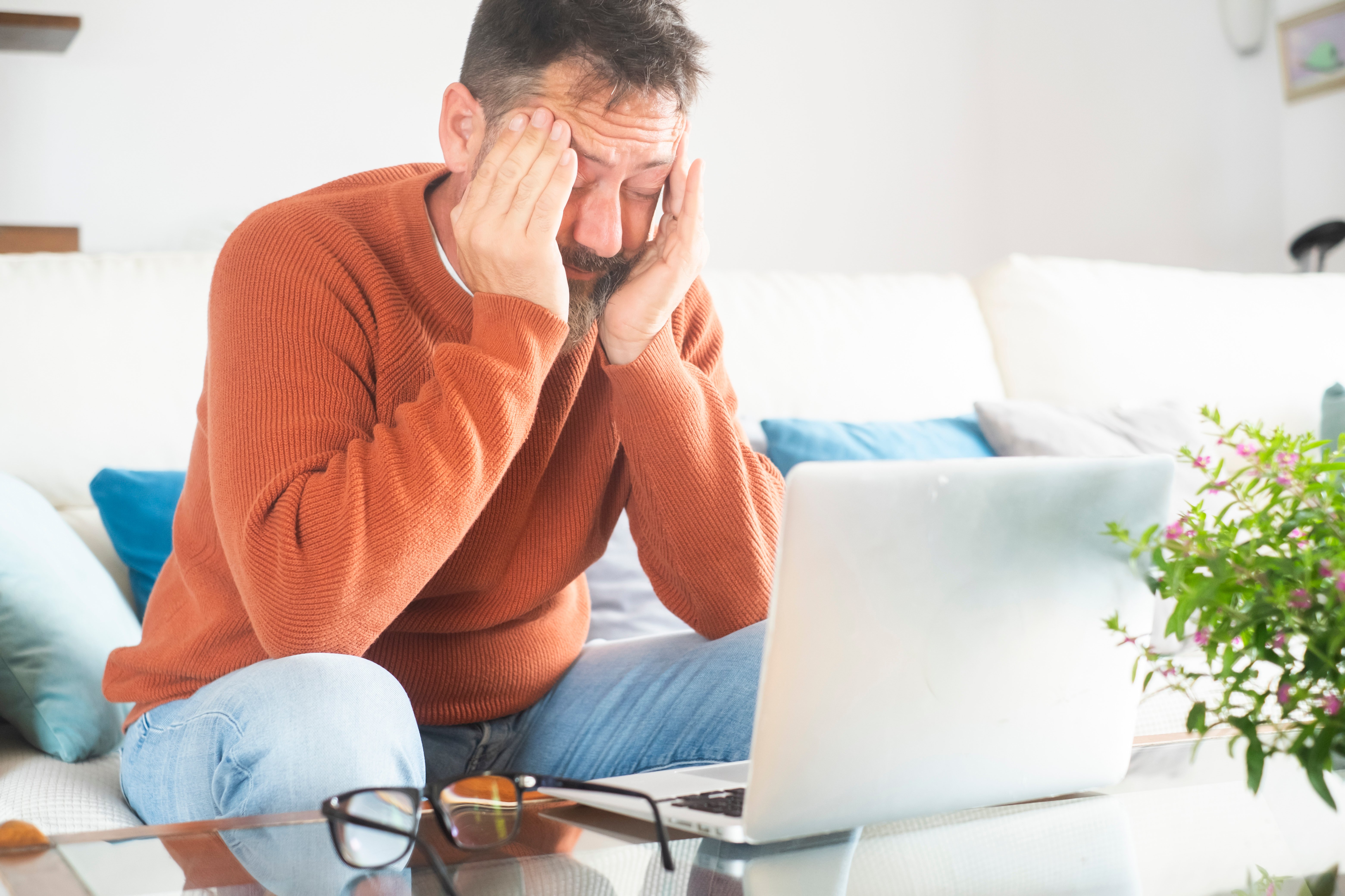 what is ato fraud